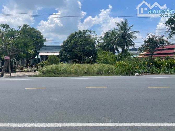 Chính chủ gửi 190m2 đất thổ, mặt tiền Quốc Lộ 50, giá rẻ - 4
