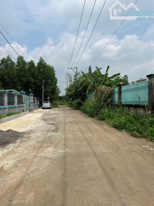 BÁN GẤP ĐẤT SỔ RIÊNG SẴN THỔ CƯ NGAY PHƯỜNG TÂN TRIỀU, GẦN TRƯỜNG TIỂU HỌC TÂN PHÚ ẤP 5 - 4
