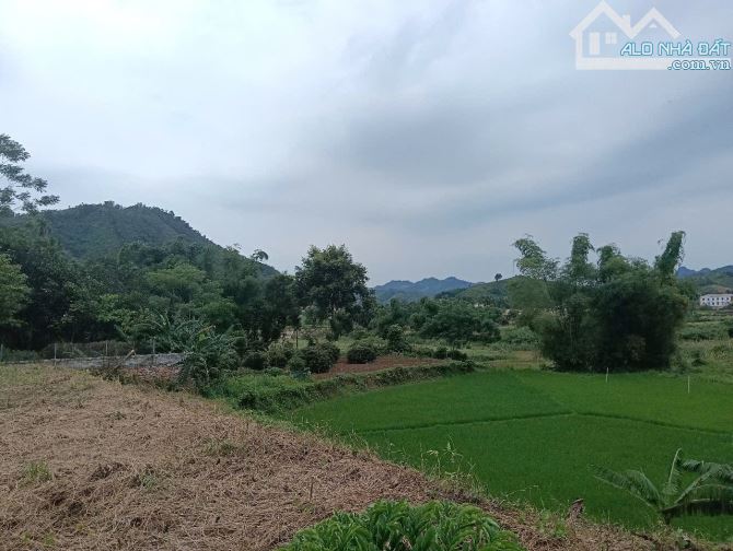 Bán đất Kim Bôi Hoà Bình đất thoáng bám đường rộng 2568m2 - 4