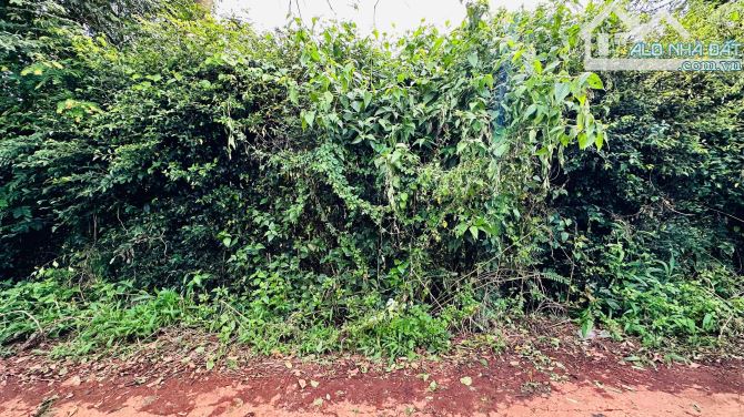 💥550m2 đất hẻm Đại lô Đông Tây Võ Nguyên Giáp gần ngay Vòng xoay - 4