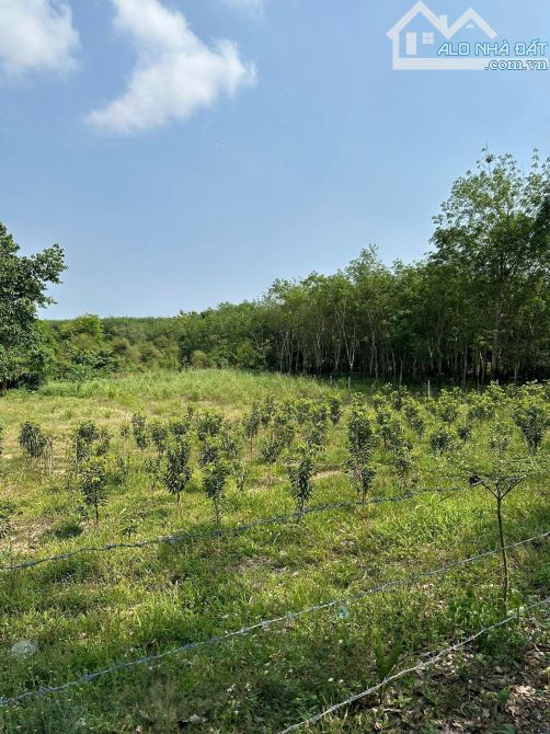 Bán 6.188m2 An Viễn, Trảng Bom view suối - 5