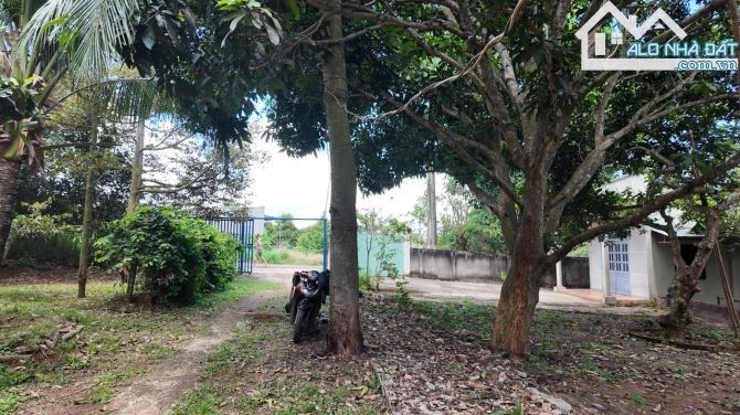 VƯỜN CÂY ĂN TRÁI VIEW SUỐI CỰC ĐẸP, SẴN THỔ CƯ, GẦN CAO TỐC, GIÁ BÁN NHANH SIÊU TỐT - 5