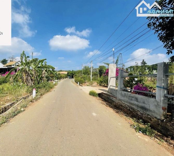 BÁN VƯỜN THANH LONG 4.500M2, CÁCH ĐƯỜNG XUÂN SƠN-ĐÁ BẠC CHỈ 1.5KM, GIÁ CHỈ 580TR/1000M2 - 5