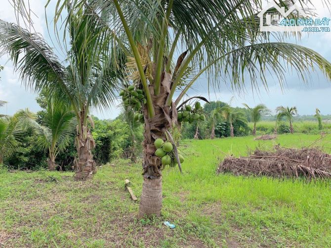 Bán khoảng 3 sào (3084m2) đất xã Suối Nghệ, huyện Châu Đức, BRVT. - 5
