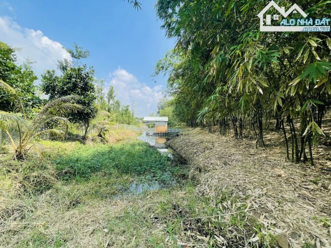 Chủ Gửi Bán Lô Đất View Đồi có sẵn vườn Trái Cây, Hồ Cá,Đường nhựa nhà nước - 5