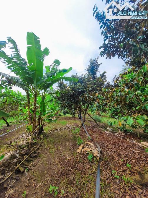 CẦN BÁN VIEW HỒ ĐÁ BÀNG CÓ SẴN VƯỜN TRÁI CÂY,AO SEN CỰC ĐEP VỊ TRÍ MÁT MẺ THÔNG THOÁNG.. - 5