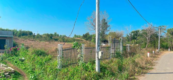 BÁN ĐẤT SUỐI RAO CHÂU ĐỨC BÀ RỊA VŨNG TÀU 2050 XÂY NHÀ VƯỜN RẤT ĐẸP - 5