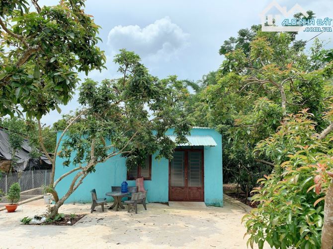 Bán khoảng 9 sào (9451m2) đất Xà Bang, huyện Châu Đức, BRVT. - 5