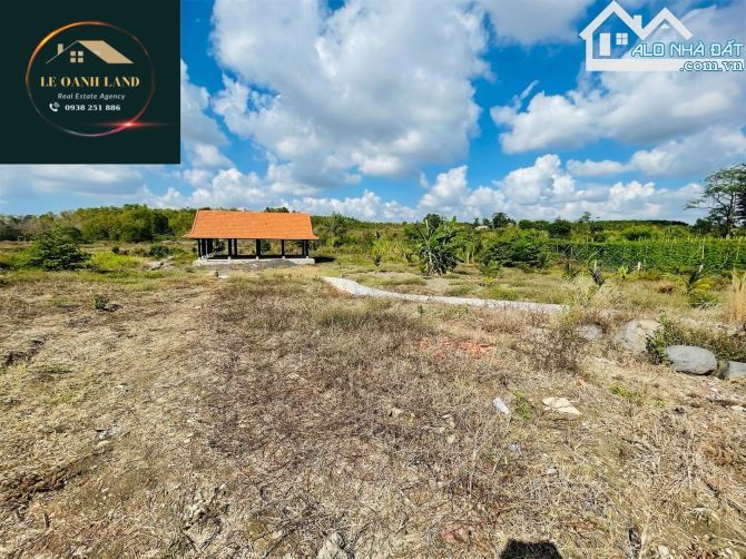 BÁN GẦN 4000m2 THỔ CƯ MT NHỰA XUÂN SƠN-ĐÁ BẠC, DÂN CƯ ĐÔNG, TIỆN KINH DOANH, GIÁ SIÊU NGỘP - 5