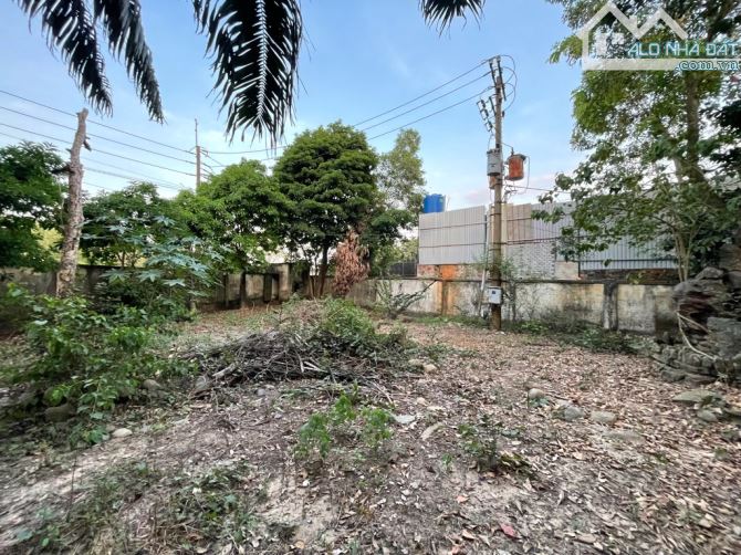 SIÊU PHẨM KHO XƯỞNG - 19600M2 - ĐẤT TO - XE CÔNG VÀO - VÀNH ĐAI 3 - 5