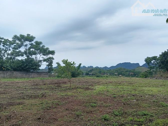 Bán đất Kim Bôi Hoà Bình đất thoáng bám đường rộng 2568m2 - 5