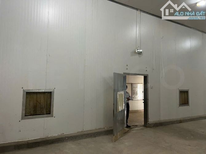 Cho Thuê KHO LẠNH CẦN THƠ - Cấp đông công suất 300 và 600 tấn, trong KCN Trà Nóc - 5