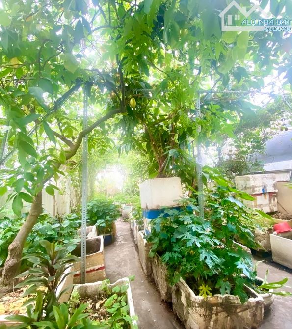 🌟 BÁN NHÀ LÔ GÓC 5 TẦNG – HẺM XE HƠI 8M – TRUNG TÂM QUẬN 3 – CHỈ 16.5 TỶ 🌟 - 5