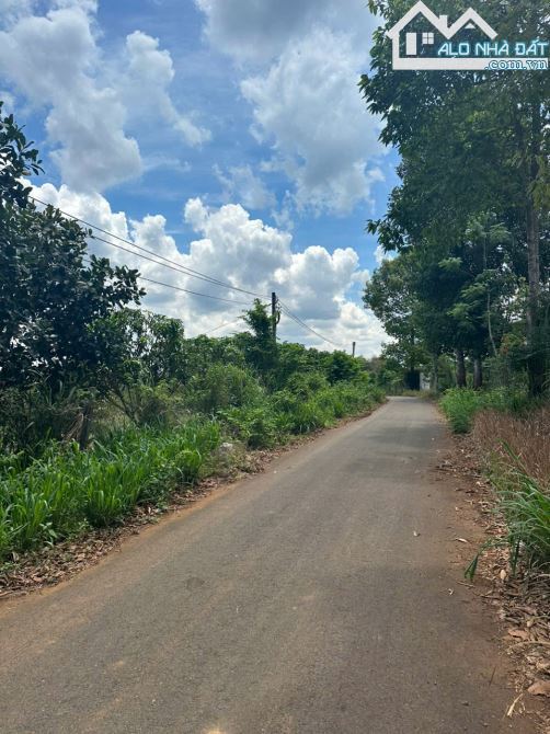 VƯỜN CÂY ĂN TRÁI VIEW SUỐI CỰC ĐẸP, SẴN THỔ CƯ, GẦN CAO TỐC, GIÁ BÁN NHANH SIÊU TỐT - 6