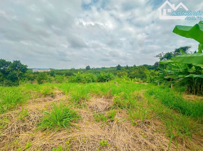VƯỜN CÂY ĂN QUẢ VIEW SUỐI CỰC ĐẸP, PHỦ HỒNG, ĐƯỜNG NHỰA THÔNG, GẦN THỊ TRẤN NGÃI GIAO - 6
