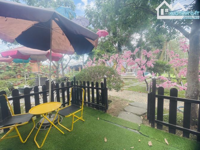 Farm MiNi nghĩ dưỡng - kinh doanh dịch vụ lưu trú - gần KCN SoNadeze - đồi cừu Suối Nghệ - 6