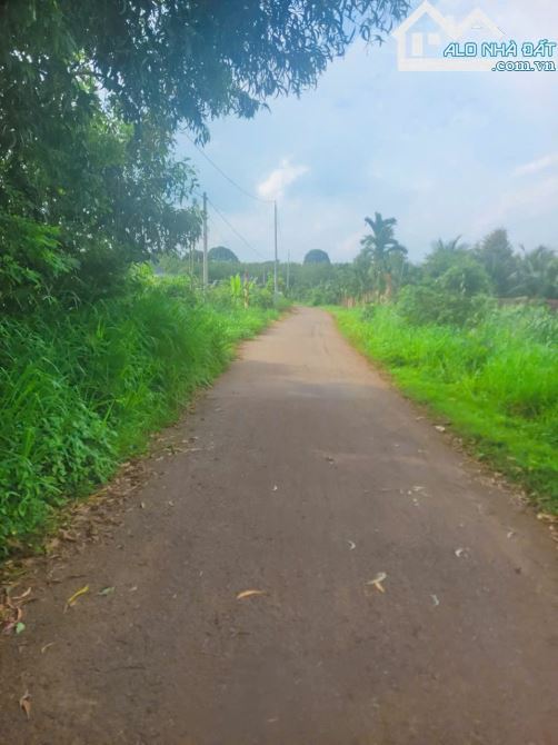 CẦN BÁN VIEW HỒ ĐÁ BÀNG CÓ SẴN VƯỜN TRÁI CÂY,AO SEN CỰC ĐEP VỊ TRÍ MÁT MẺ THÔNG THOÁNG.. - 6