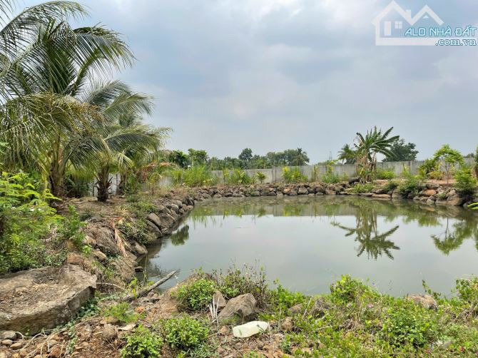 BÁN NHÀ VƯỜN VIEW RUỘNG XÃ HOÀ KHÁNH TP BMT - 6