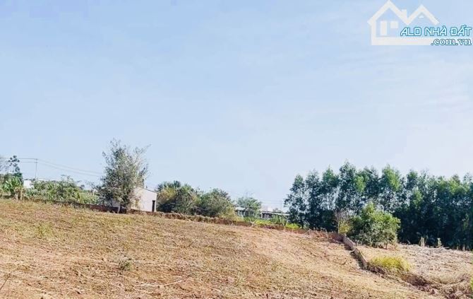 BÁN LÔ ĐẤT VIEW TRỰC DIỆN HỒ SUỐI RAO, KẾ BÊN UBND SUỐI RAO,MT ĐƯỜNG CHÍNH XUÂN SƠN-ĐÁ BẠC - 6