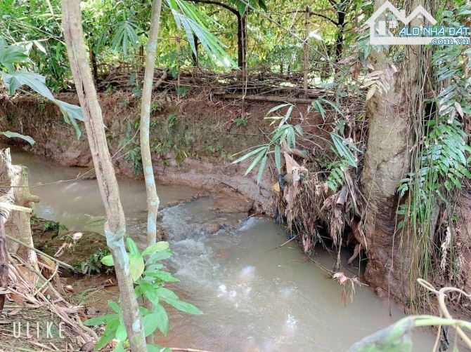 Bán khoảng 9 sào (9451m2) đất Xà Bang, huyện Châu Đức, BRVT. - 6