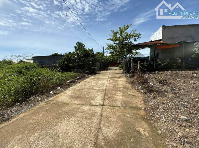 BÁN ĐẤT THÔN 2 XUÂN ĐỒNG (DIÊN ĐỒNG CŨ), DIÊN KHÁNH, KHÁNH HÒA. - 6