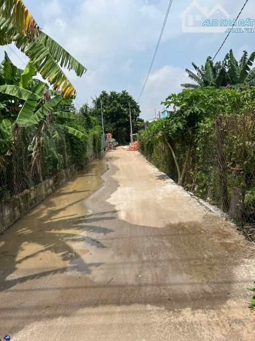 BÁN GẤP ĐẤT SỔ RIÊNG SẴN THỔ CƯ NGAY PHƯỜNG TÂN TRIỀU, GẦN TRƯỜNG TIỂU HỌC TÂN PHÚ ẤP 5 - 6