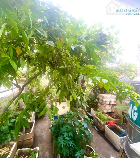🌟 BÁN NHÀ LÔ GÓC 5 TẦNG – HẺM XE HƠI 8M – TRUNG TÂM QUẬN 3 – CHỈ 16.5 TỶ 🌟 - 6