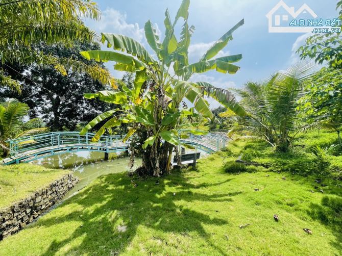 Chủ Gửi Bán Lô Đất View Đồi có sẵn vườn Trái Cây, Hồ Cá,Đường nhựa nhà nước - 7