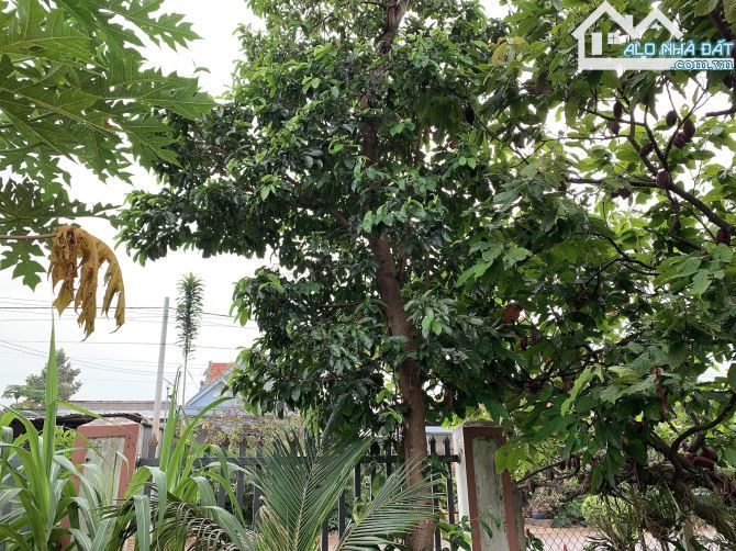 Bán khoảng 5 sào 7 (5741m2) đất Xà Bang, huyện Châu Đức, BRVT. - 7