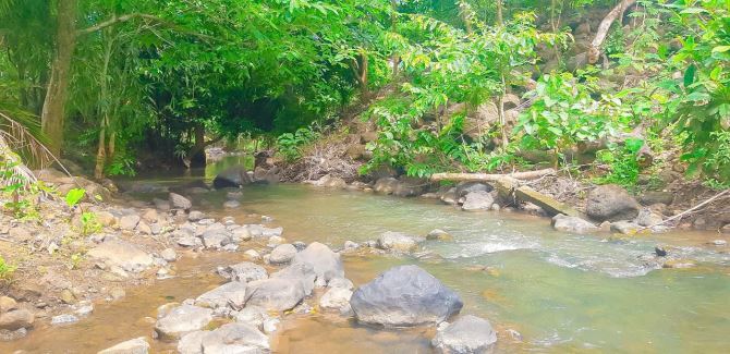 VƯỜN CÂY ĂN QUẢ VIEW SUỐI CỰC ĐẸP, PHỦ HỒNG, ĐƯỜNG NHỰA THÔNG, GẦN THỊ TRẤN NGÃI GIAO - 8