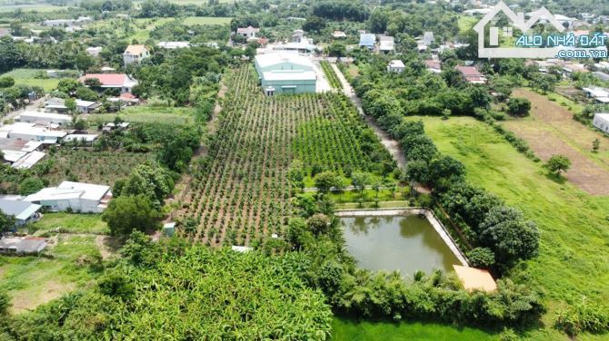 BĐS KHU CÔNG NGHIỆP, BÁN NHÀ XƯỠNG + ĐẤT QUỐC LỘ 56, SONADEZI NGHĨA THÀNH 16.0000m2 - 8