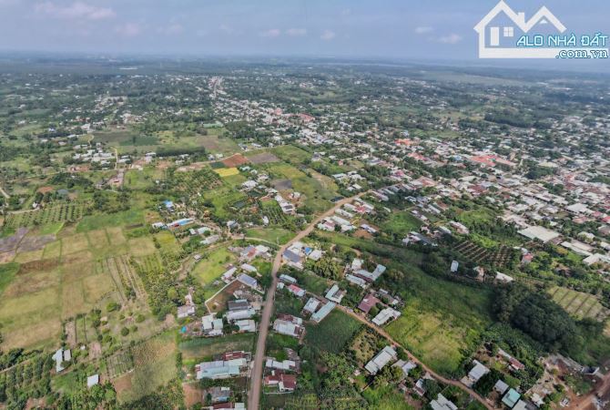 LÔ ĐẤT BIỆT THỰ VƯỜN TUYỆT ĐẸP MẶT TIỀN 56B SUỐI NGHỆ, THỔ CƯ, CÓ HỒ BƠI, VƯỜN CÂY ĂN TRÁI - 8