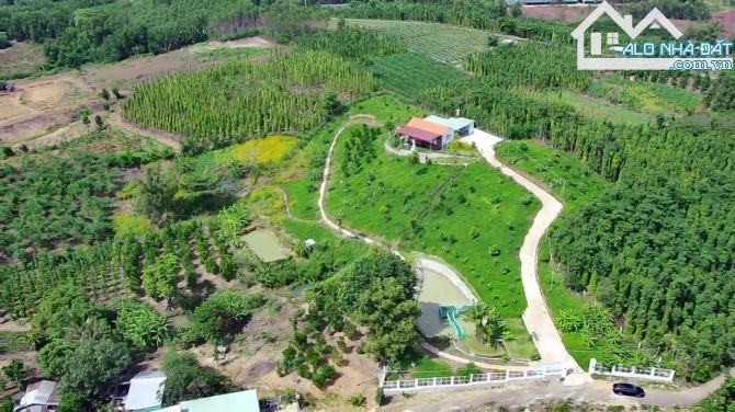 Chủ Gửi Bán Lô Đất View Đồi có sẵn vườn Trái Cây, Hồ Cá,Đường nhựa nhà nước - 8