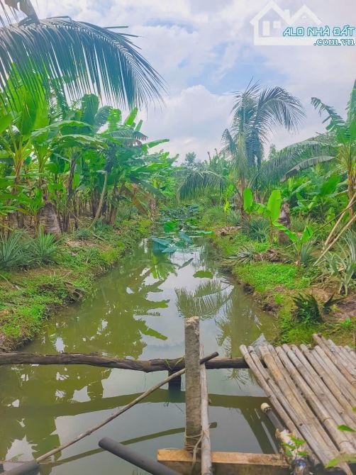 CẦN BÁN VIEW HỒ ĐÁ BÀNG CÓ SẴN VƯỜN TRÁI CÂY,AO SEN CỰC ĐEP VỊ TRÍ MÁT MẺ THÔNG THOÁNG.. - 8