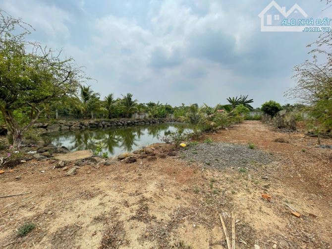 BÁN NHÀ VƯỜN VIEW RUỘNG XÃ HOÀ KHÁNH TP BMT - 8