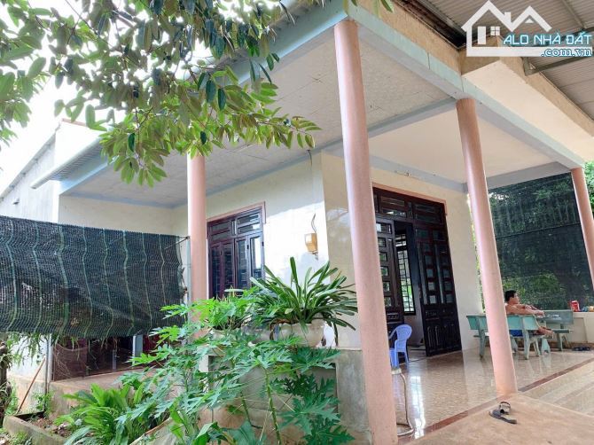 Bán khoảng 4 sào 6 (4647m2) đất Xà Bang, huyện Châu Đức, BRVT. - 8