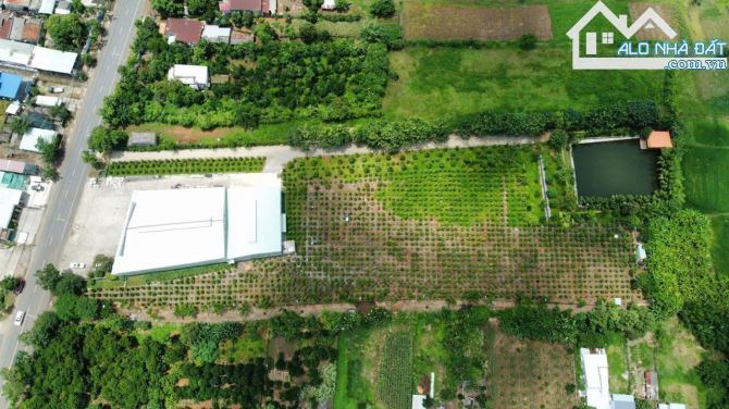 BĐS KHU CÔNG NGHIỆP, BÁN NHÀ XƯỠNG + ĐẤT QUỐC LỘ 56, SONADEZI NGHĨA THÀNH 16.0000m2 - 9