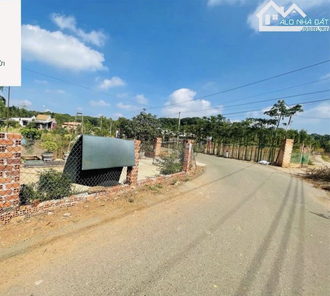 BÁN VƯỜN THANH LONG 4.500M2, CÁCH ĐƯỜNG XUÂN SƠN-ĐÁ BẠC CHỈ 1.5KM, GIÁ CHỈ 580TR/1000M2 - 9