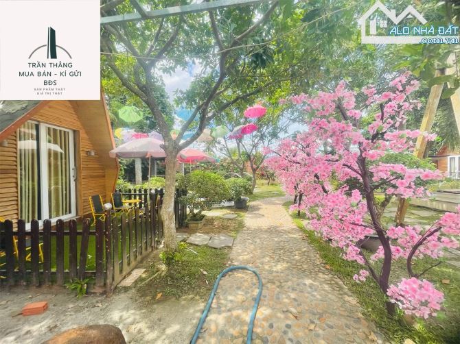 Farm MiNi nghĩ dưỡng - kinh doanh dịch vụ lưu trú - gần KCN SoNadeze - đồi cừu Suối Nghệ - 9