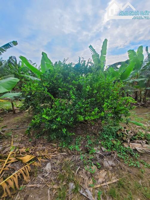 CẦN BÁN VIEW HỒ ĐÁ BÀNG CÓ SẴN VƯỜN TRÁI CÂY,AO SEN CỰC ĐEP VỊ TRÍ MÁT MẺ THÔNG THOÁNG.. - 9