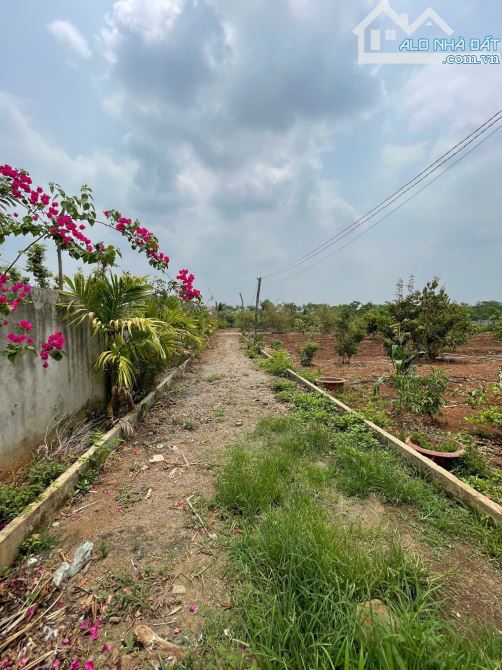 BÁN NHÀ VƯỜN VIEW RUỘNG XÃ HOÀ KHÁNH TP BMT - 9