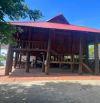 Bán lô 110m2 3 mặt thoáng trục chính Đặng Cương, An Dương kinh doanh đẹp