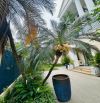 380M2 - 12M MẶT TIỀN - BÁN BIỆT THỰ C7 CIPUTRA VIEW HỒ - CÔNG VIÊN - SÂN GOLF - VỈA HÈ ÔTÔ