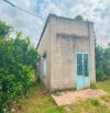 VƯỜN CÂY ĂN QUẢ VIEW SUỐI CỰC ĐẸP, PHỦ HỒNG, ĐƯỜNG NHỰA THÔNG, GẦN THỊ TRẤN NGÃI GIAO