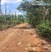 Hạ giá! bán lô đất sào sẵn thổ cư xã Quảng Thành, Châu Đức, Bà Rịa Vũng Tàu