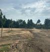 11 sào - Thôn 1 suối Rao - Châu Đức - Bà Rịa  650 triệu sào