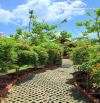 Nhà vườn 13000 m2 suối rao châu đức giá 50 tỷ