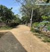 Bán Đất Mặt Tiền 167m, Diện Tích 7.682m² (250m² Thổ Cư) – Xa Bang, Châu Đức, BRVT