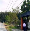 Bán gấp đất xã An Nhơn Tây, Củ Chi