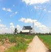Hàng ngộp, 973m2 đất thổ toàn bộ đường đan Cao Thị Mai, chốt 1 tỷ